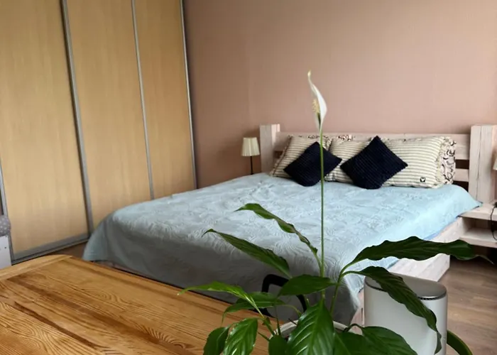 Aizkraukles Studio Tipa Dzivoklis