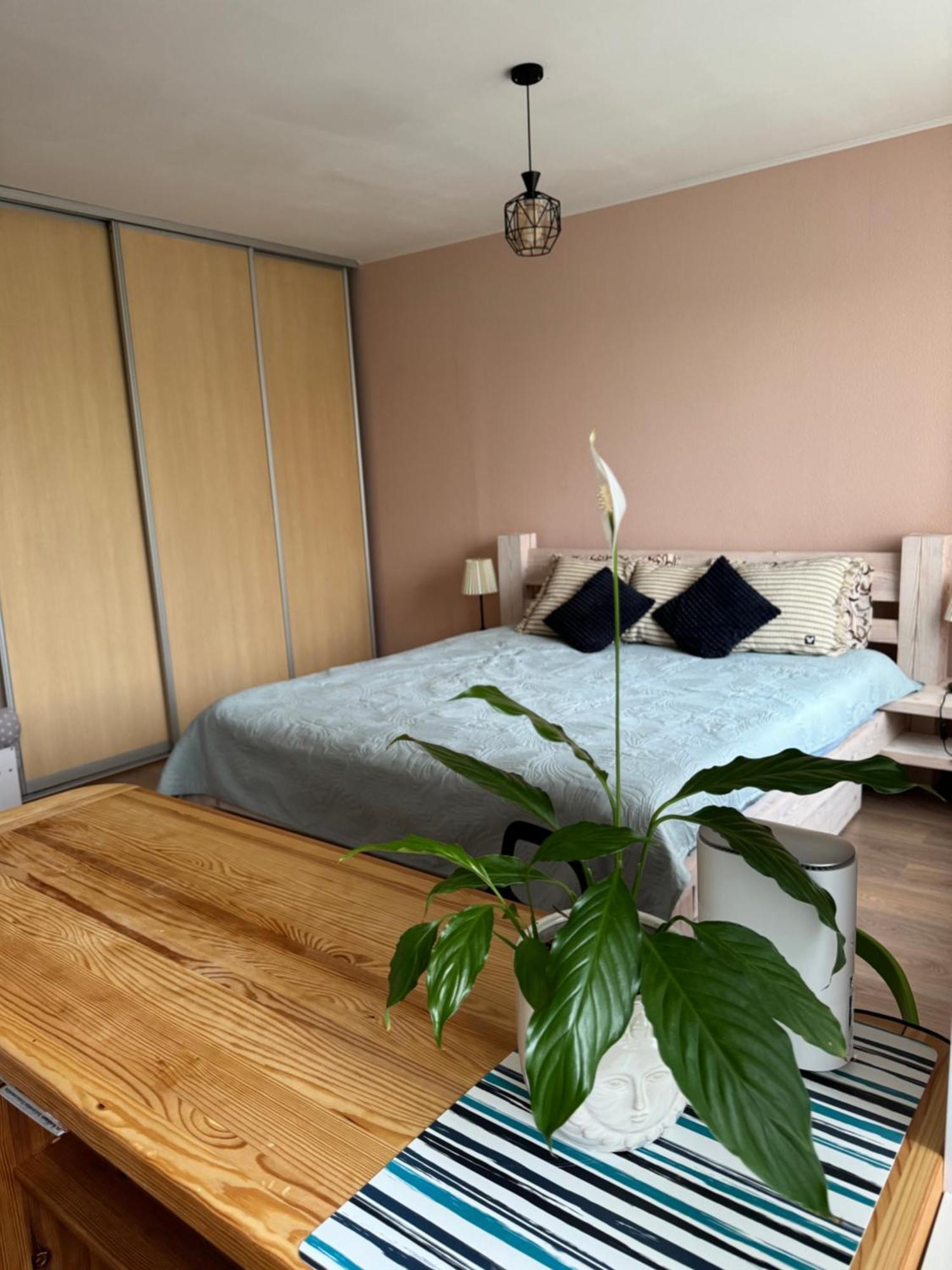 Apartment Aizkraukles Tipa Dzivoklis *